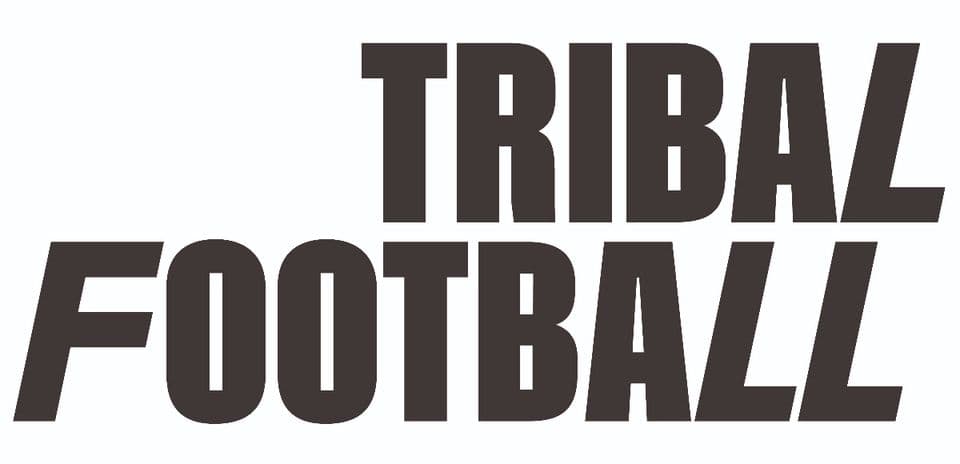 Логотип Tribal Football